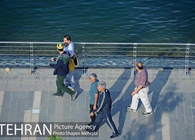 پیاده مداری در ایران به عنوان یک شیوه حمل و نقل به رسمیت شناخته نمی گردد