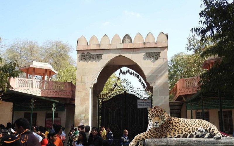 با قدیمی ترین باغ وحش هند در جیپور آشنا شوید