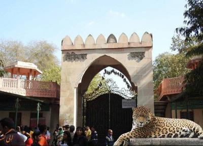 با قدیمی ترین باغ وحش هند در جیپور آشنا شوید