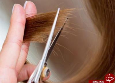 درمان موخوره با چند ترفند خانگی، فرمول هایی طبیعی که موهایتان را نرم و زیبا می کنند