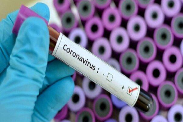 ثبت 2 مورد مشکوک ابتلا به ویروس کرونا در تونس و الجزایر