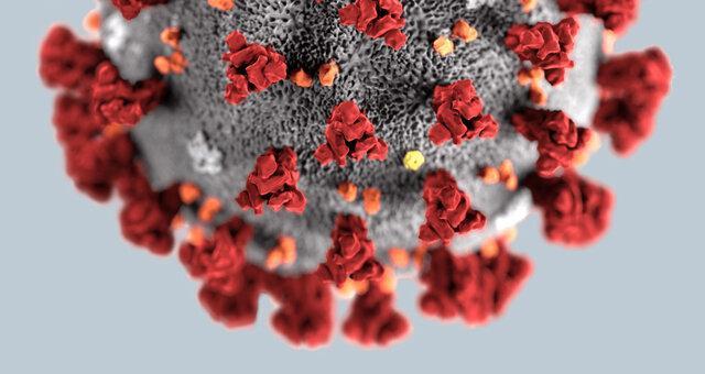 آمریکا فناوری های جدیدی را برای تشخیص کروناویروس به کار می گیرد